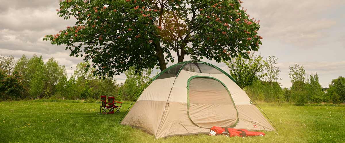 Tent-pitched-beside-a-tree Tent pitched beside a tree