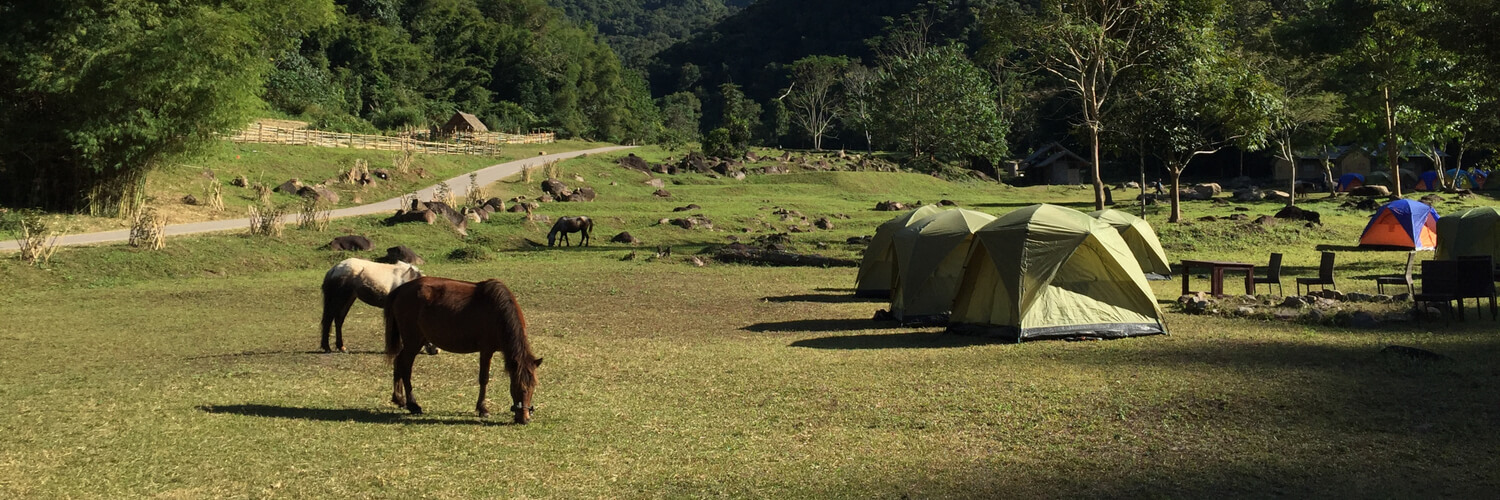 Picture 2 Tents with horses in a field (1)