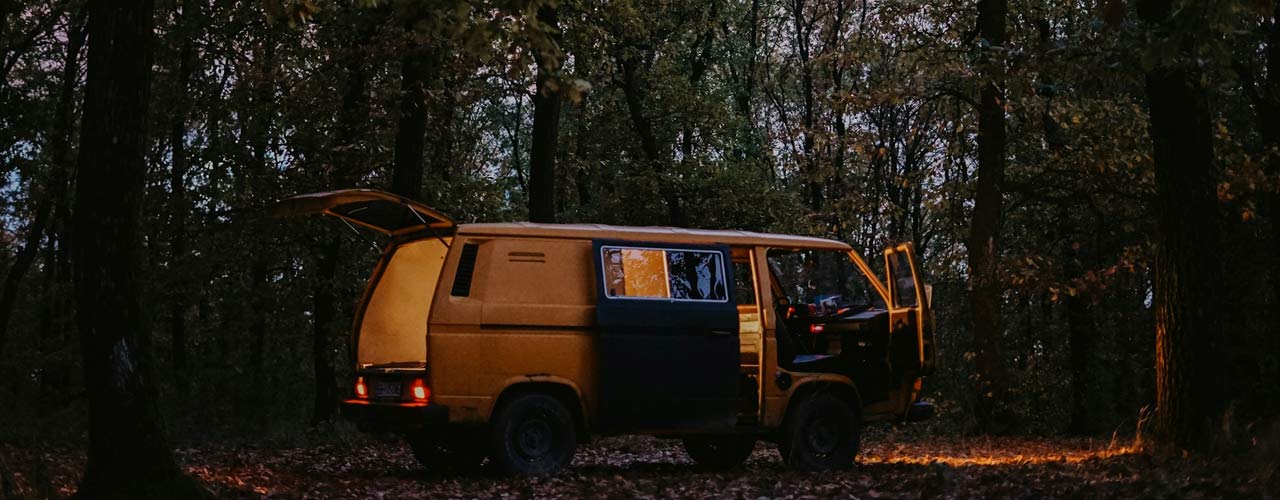 VW T25 in the woods