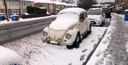 Earl in the snow