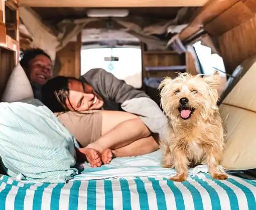 Just Kampers Insurance Just Kampers Insurance